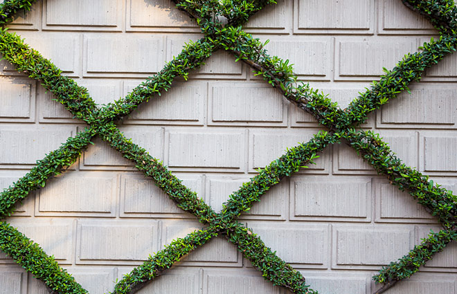 Environmental Sustainability