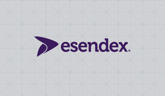 essendex company logo on grid background