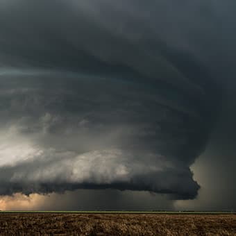 blocks spelling out dns